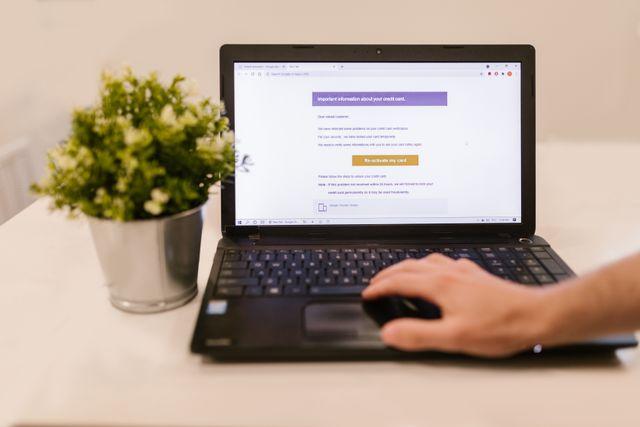 a laptop beside a plant