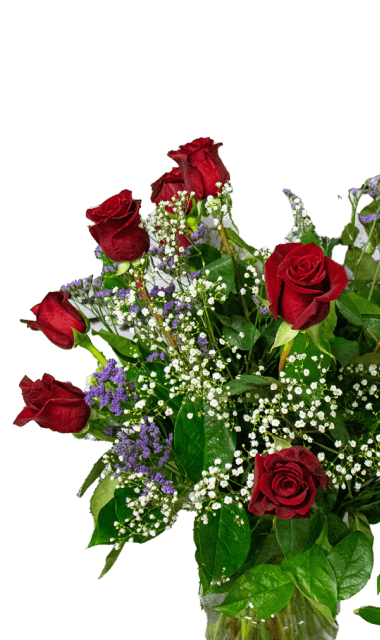 a bouquet of roses